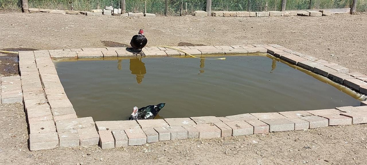 Villa Klinai Cerveteri Kültér fotó