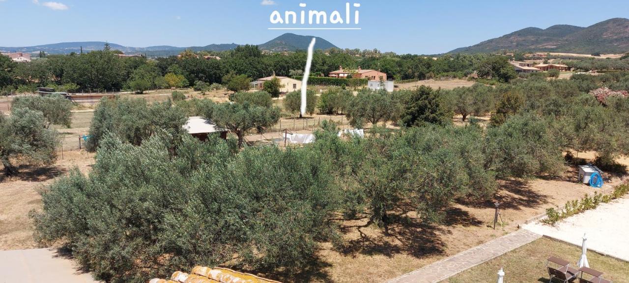 Villa Klinai Cerveteri Kültér fotó