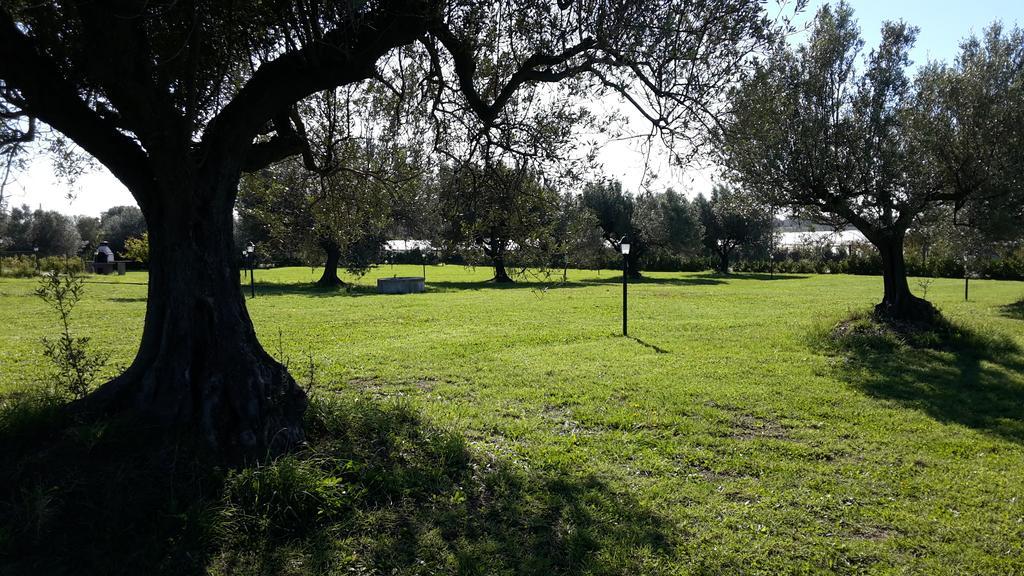 Villa Klinai Cerveteri Kültér fotó
